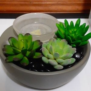 Scentsy Little Garden Wax Melt